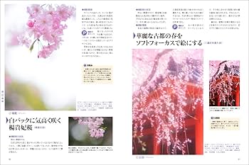 【3万円以下で楽しむ本物の絵画③】「冬の日」小松明画伯　SMサイズ 3以下で楽しむ本物の絵画③】「冬の日」小松明画伯 SMサイズ